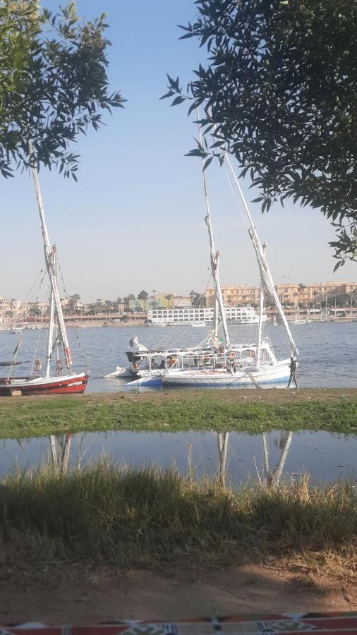Villa Victoria Old Nile View Luksor Exterior foto